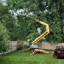 Best Lawn Seeding  in Inglis, FL