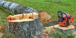 Best Utility Line Clearance  in Inglis, FL